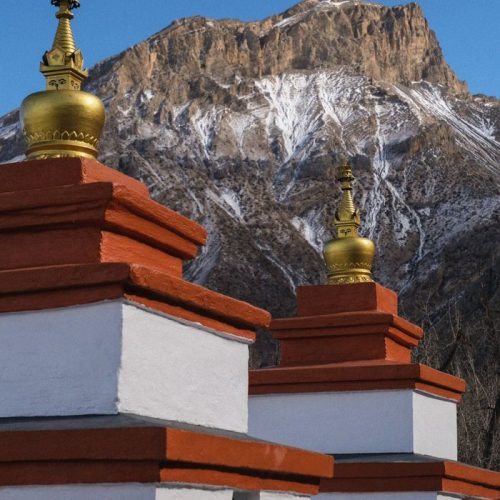 Beautiful stupas at Muktinath set against the Himalayan mountains, showcasing Nepal's rich spiritual heritage.