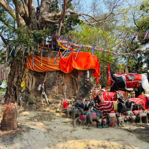Vibrant shrine under a sacred tree in Butwal, Nepal, adorned with colorful fabrics and offerings.
